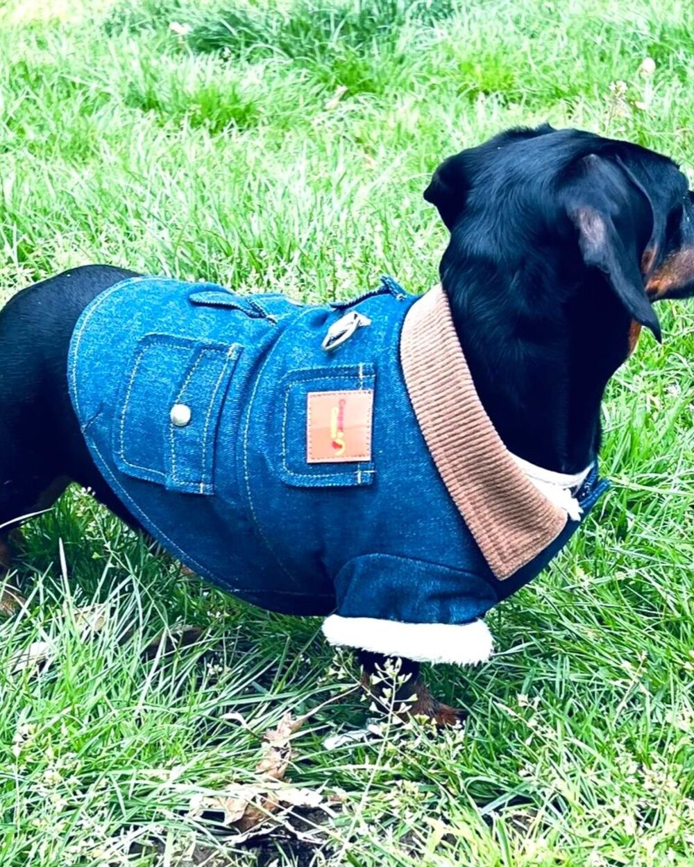 Cooper&Cosmo Blue Denim Jacket — Small