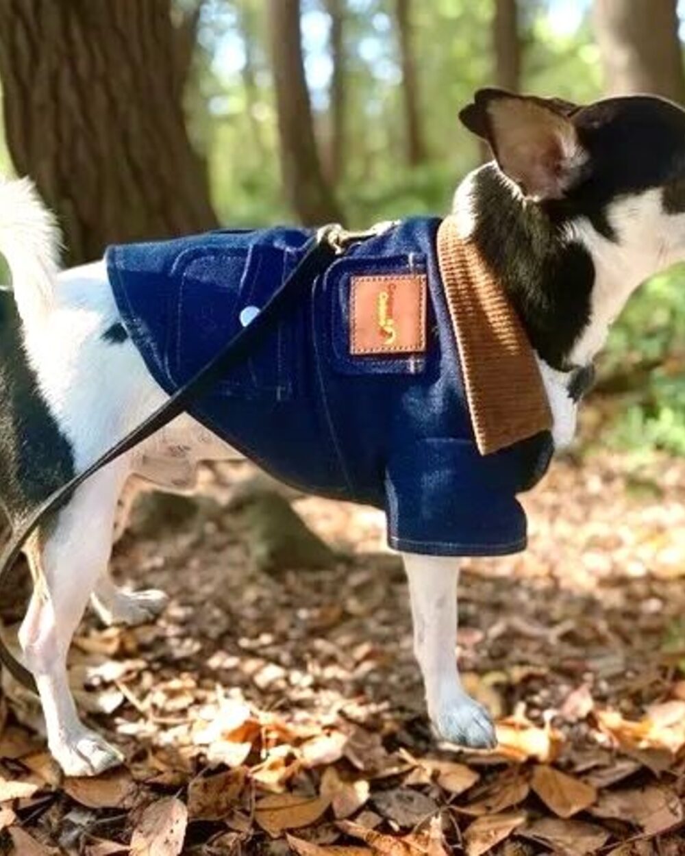 Cooper&Cosmo Blue Denim Jacket — XSmall