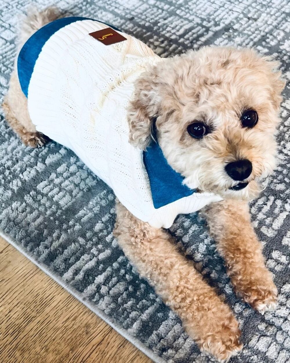 Cooper&Cosmo Knitted sweater in Beige