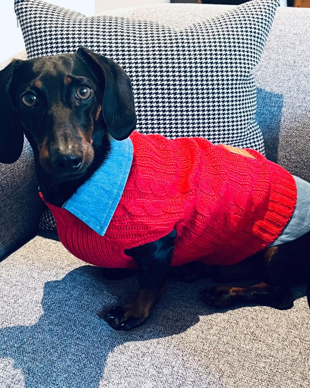 Cooper&Cosmo Knitted sweater in Red
