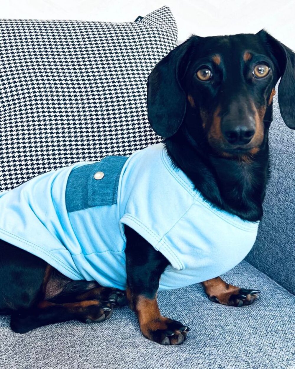 Cooper&Cosmo Cotton T-shirt in Blue