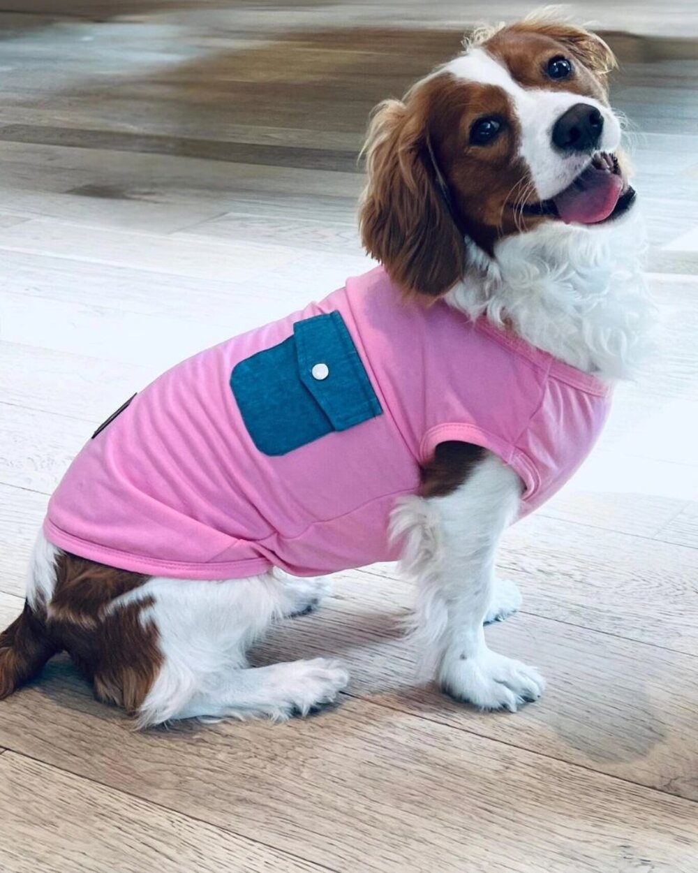 Cooper&Cosmo Cotton T-shirt in Pink